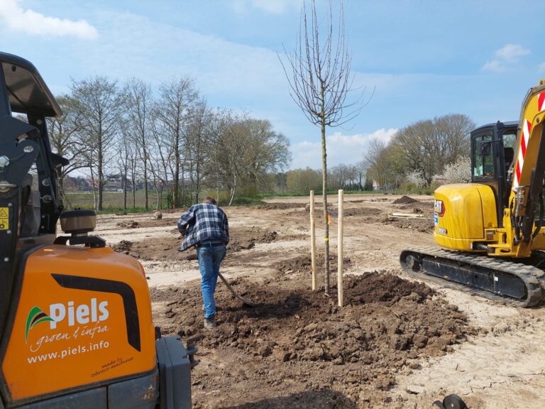 Bomen planten Piels Groen & Infra