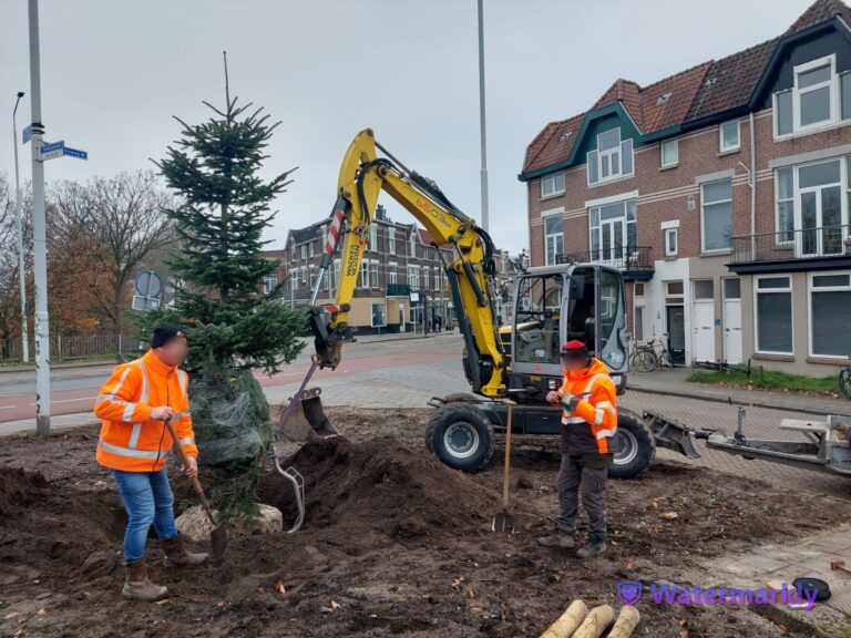 Kerstboom planten