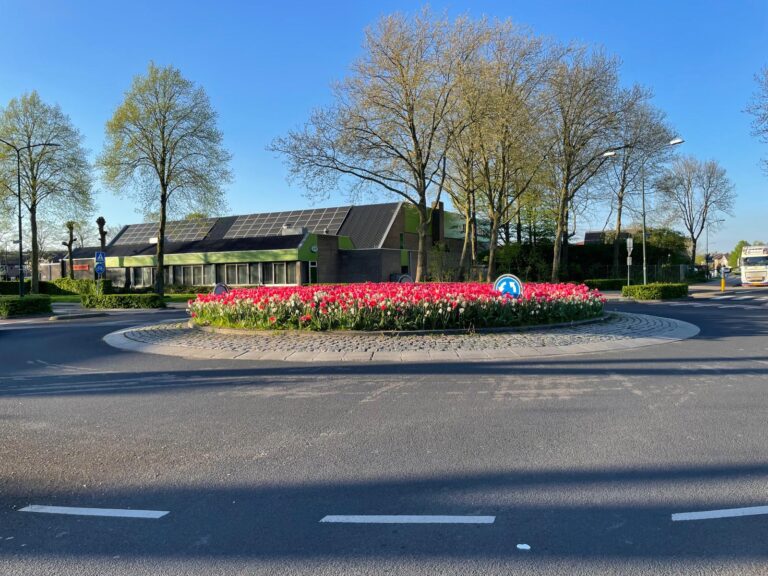Resultaat bloembollen poten