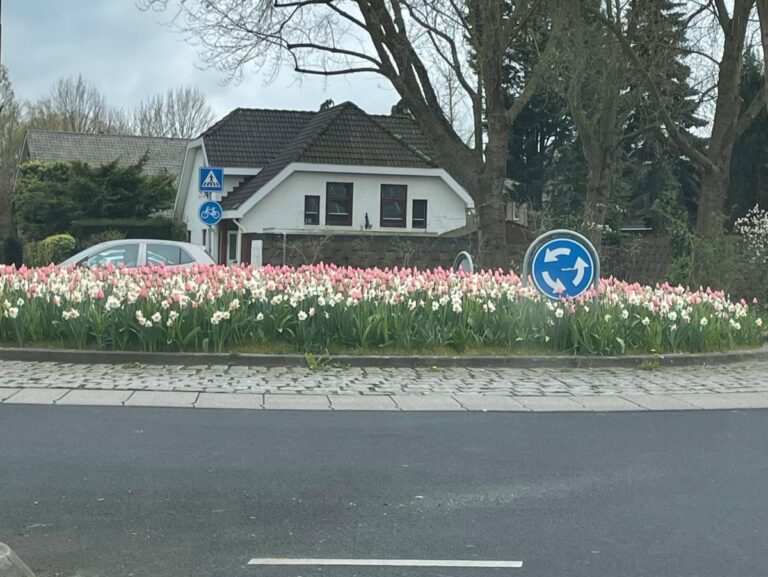 Resultaat bloembollen poten