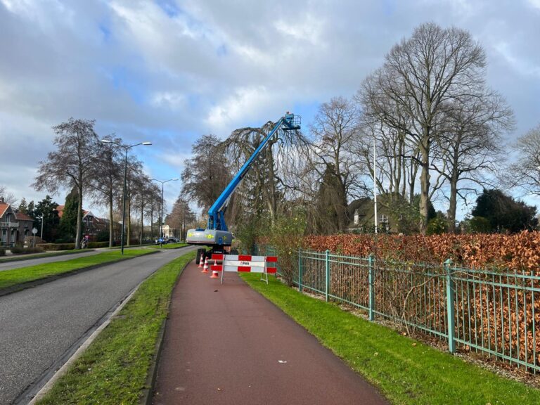 Snoeien bomen Beuningen