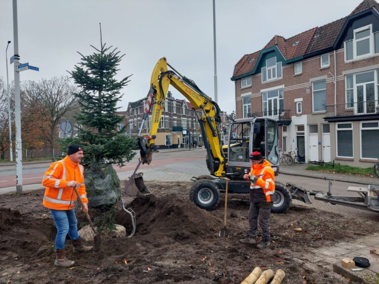 Bomen planten Piels Groen & Infra