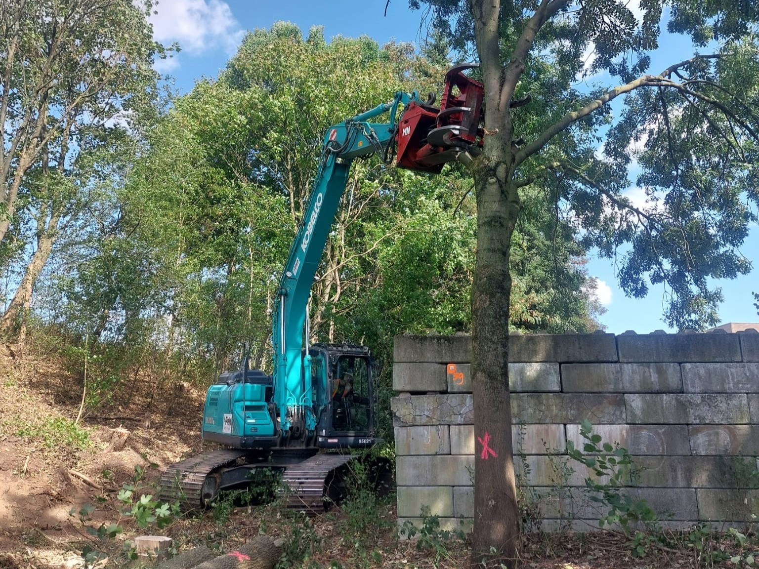 Bomenkap Winkelsteeg Nijmegen